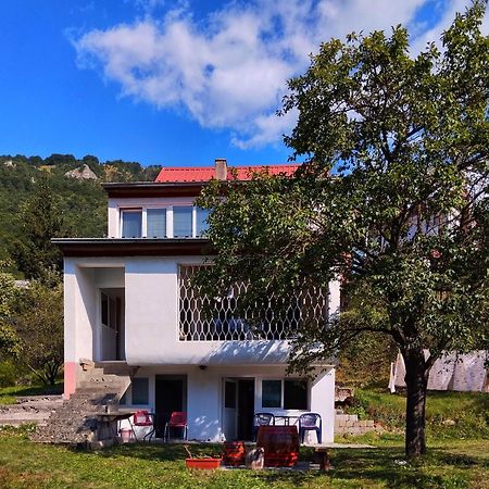 Guesthouse Mirkovic Pluzine Exterior photo