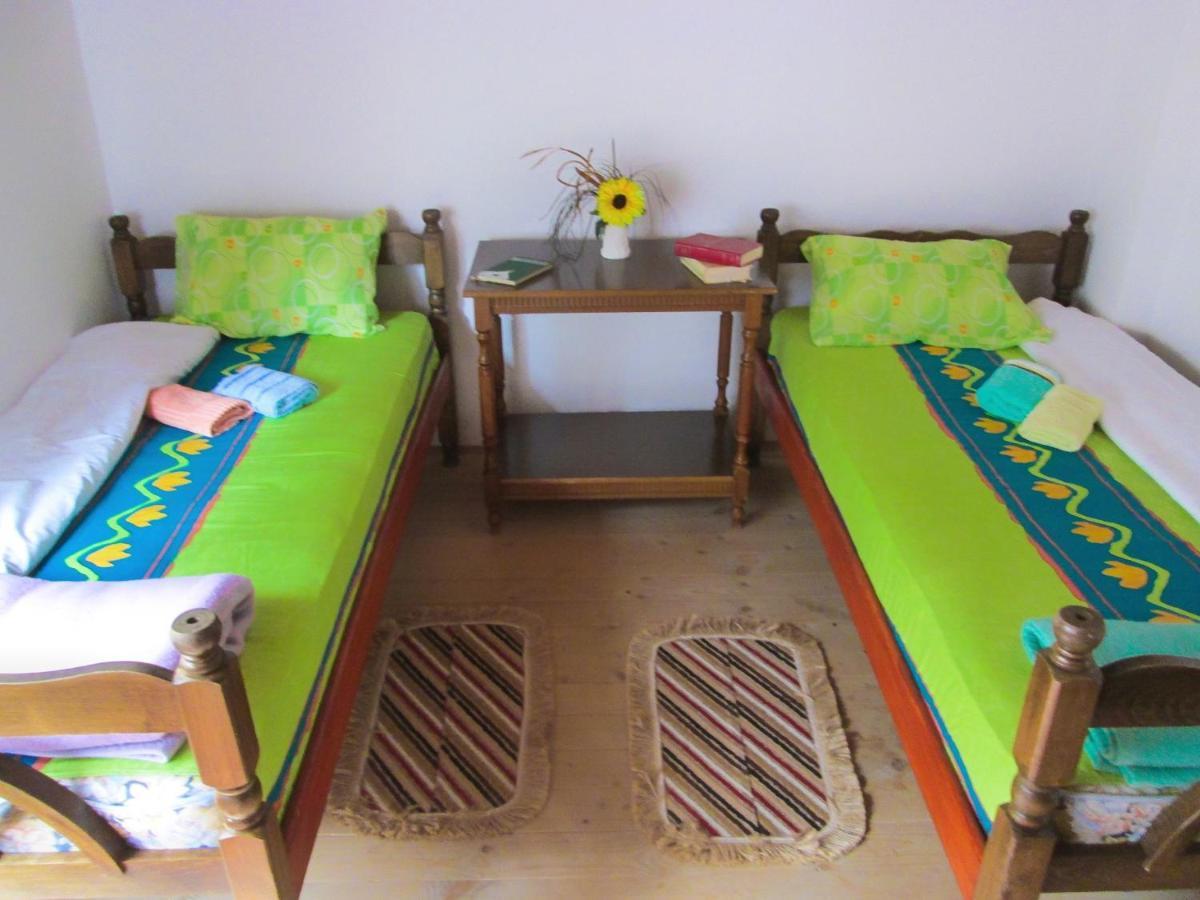 Guesthouse Mirkovic Pluzine Exterior photo
