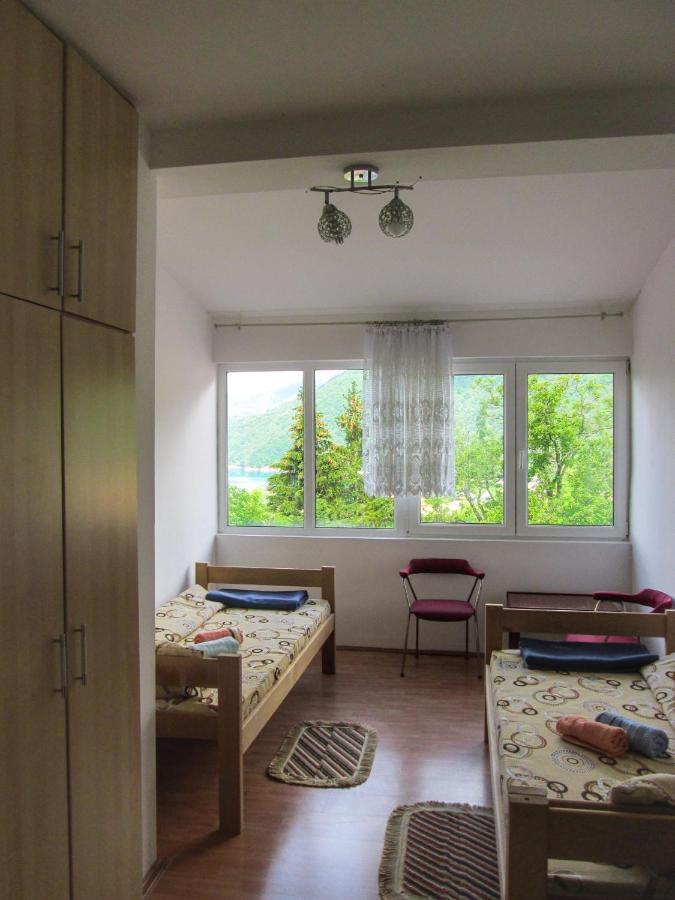 Guesthouse Mirkovic Pluzine Exterior photo