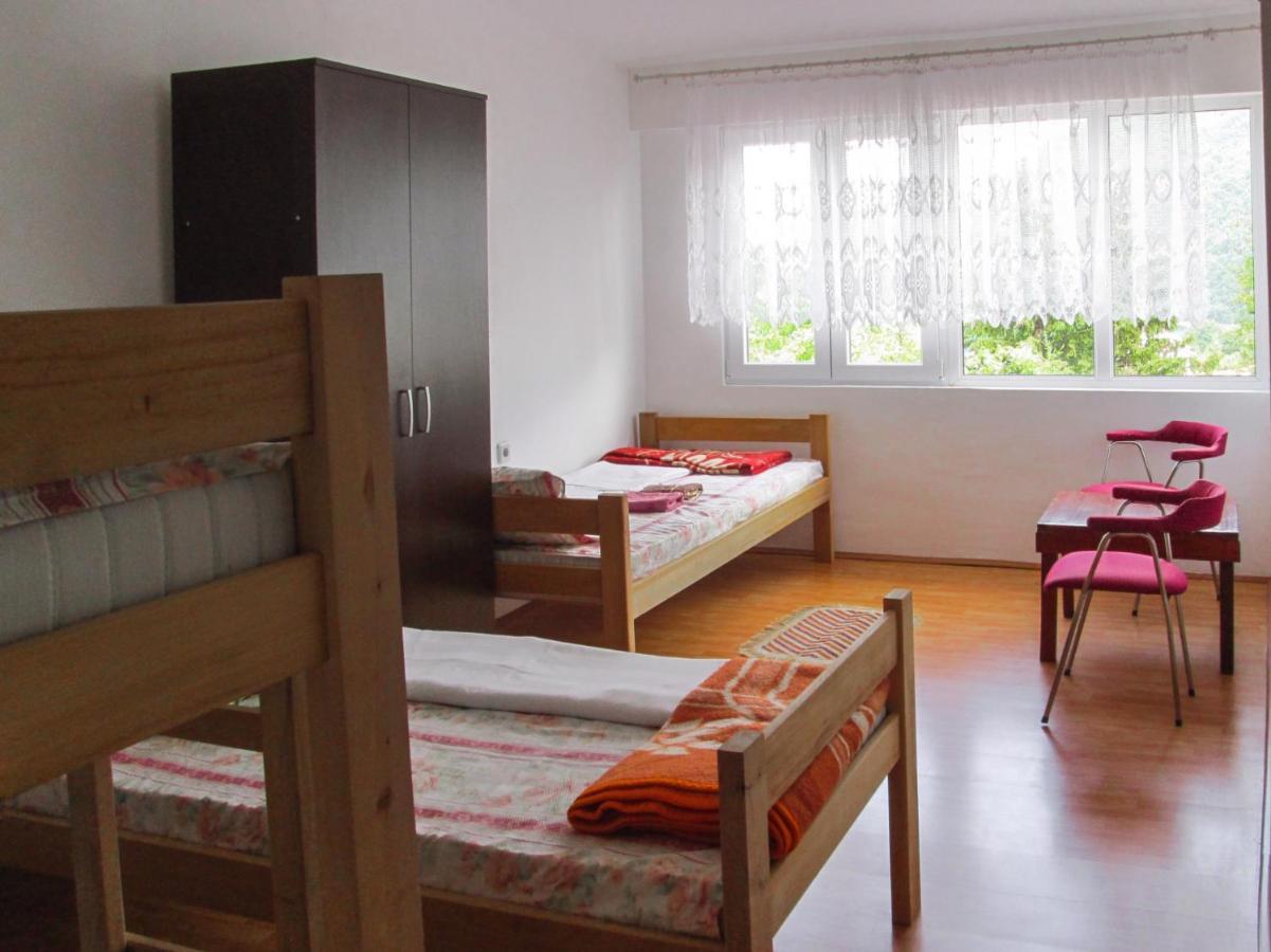 Guesthouse Mirkovic Pluzine Exterior photo