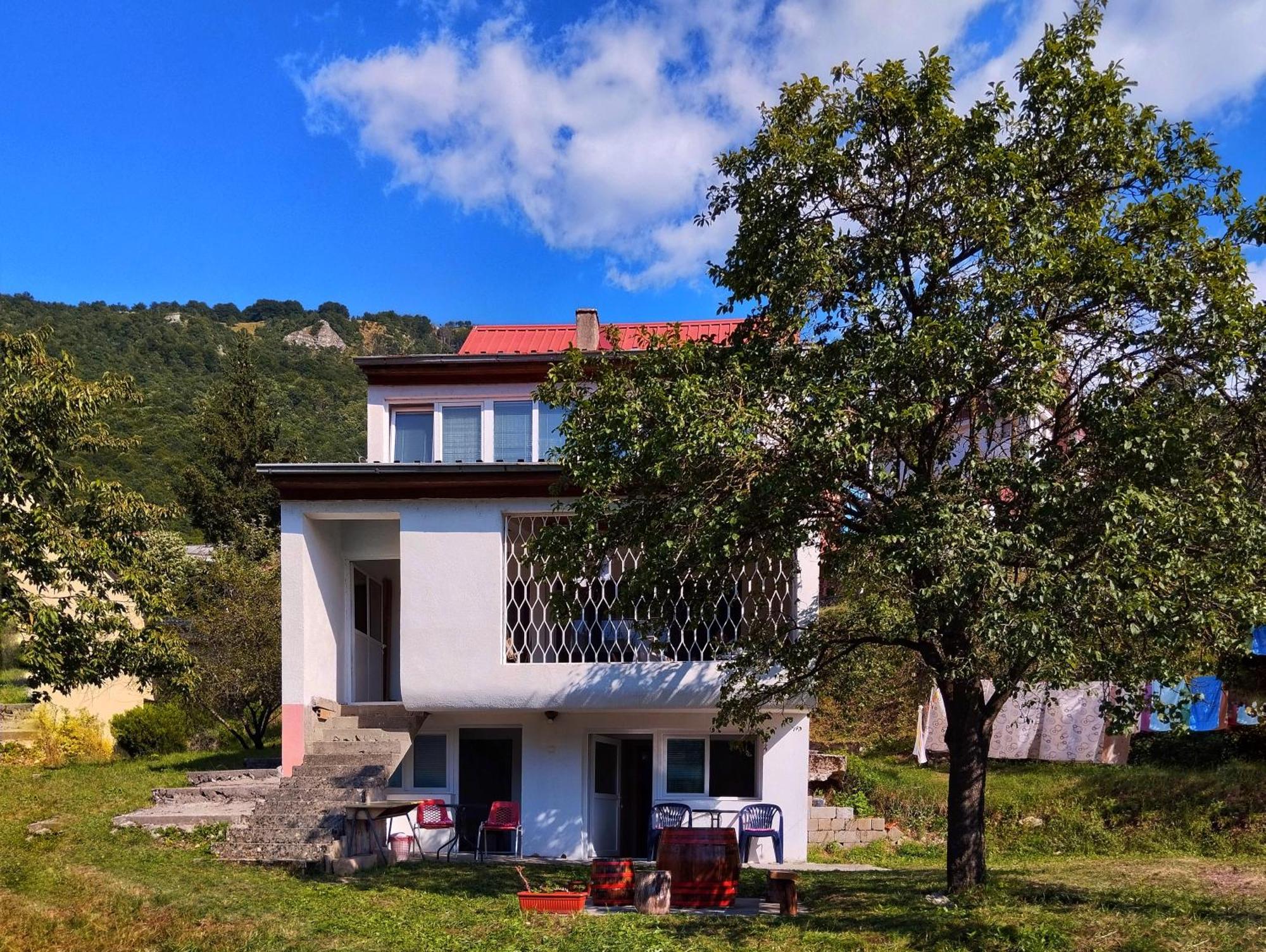 Guesthouse Mirkovic Pluzine Exterior photo