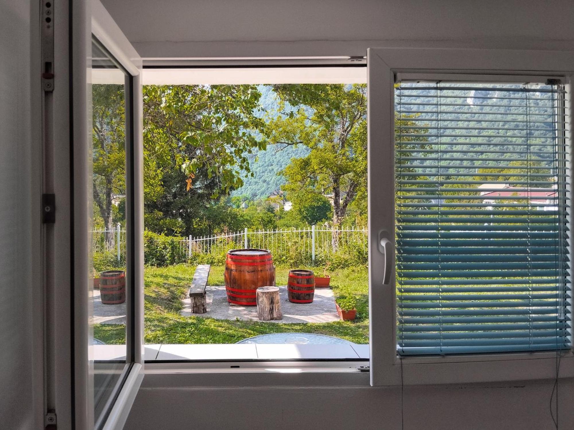 Guesthouse Mirkovic Pluzine Exterior photo