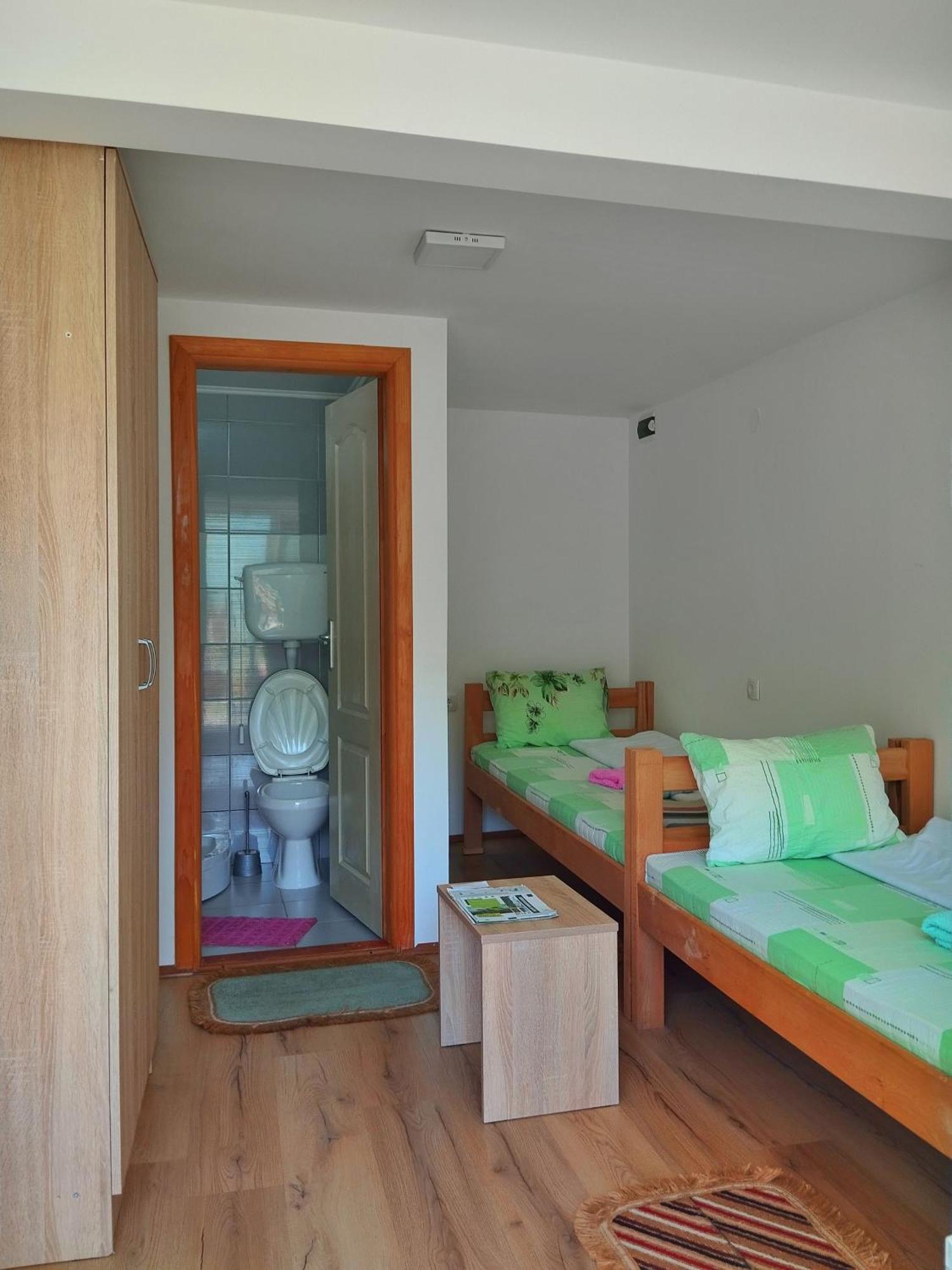 Guesthouse Mirkovic Pluzine Exterior photo