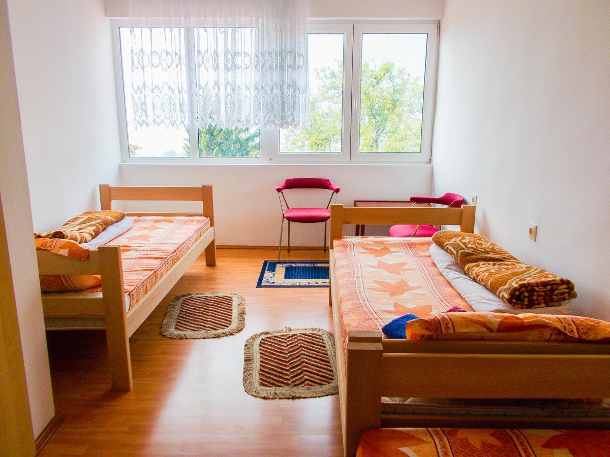 Guesthouse Mirkovic Pluzine Exterior photo