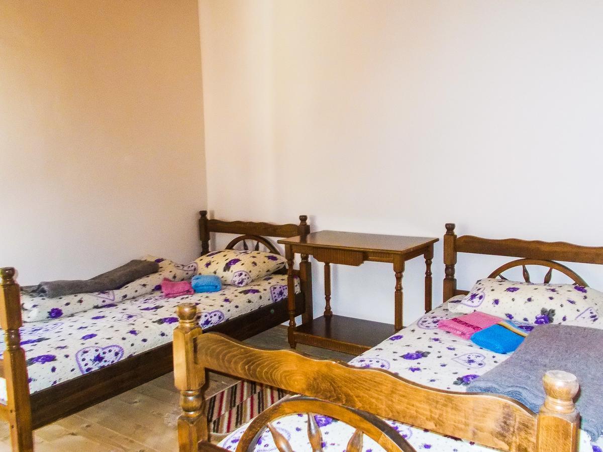 Guesthouse Mirkovic Pluzine Exterior photo