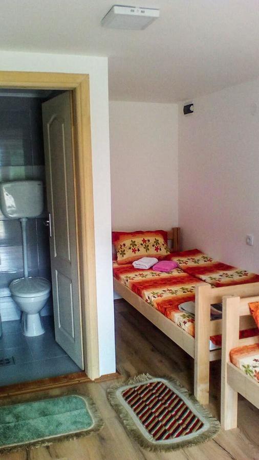 Guesthouse Mirkovic Pluzine Exterior photo