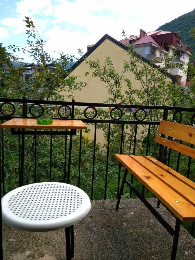 Guesthouse Mirkovic Pluzine Exterior photo