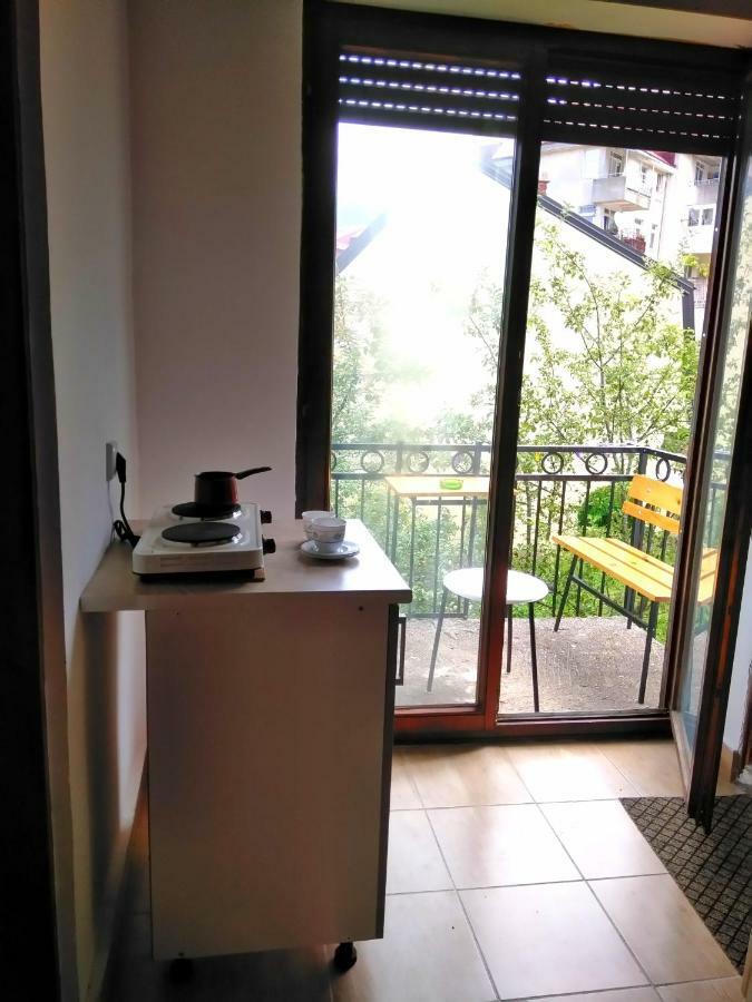 Guesthouse Mirkovic Pluzine Exterior photo